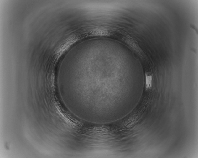 X0000101110627200806261413
