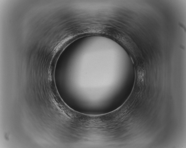 X0000101110628200806261413