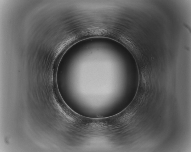 X0000101110630200806261413