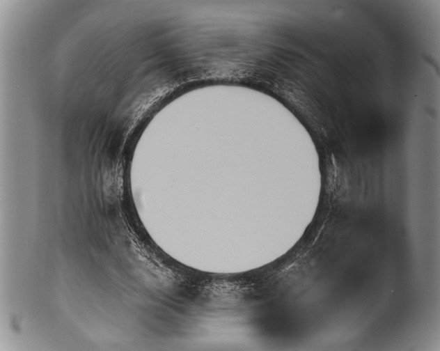 X0000101110632200806261413