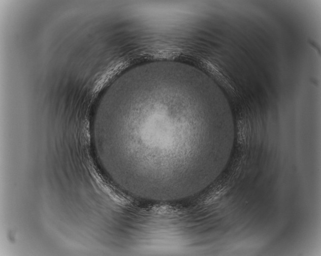 X0000101110634200806261413