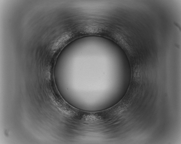 X0000101110635200806261413