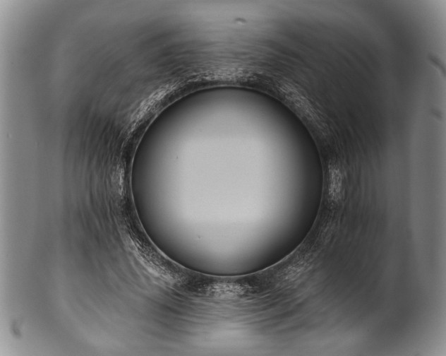 X0000101110636200806261413