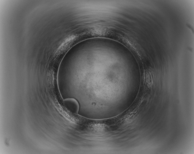 X0000101110637200806261413