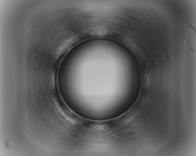 X0000101110638200806261413