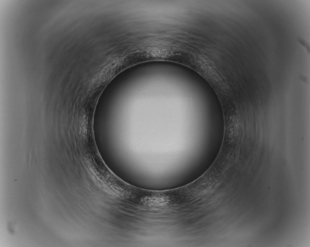 X0000101110639200806261413