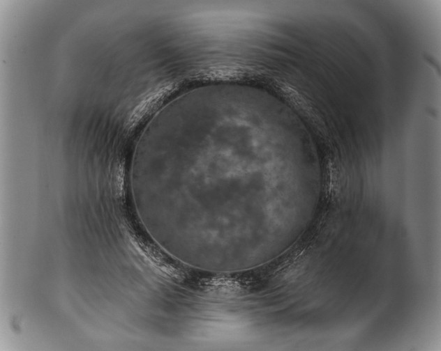 X0000101110640200806261413