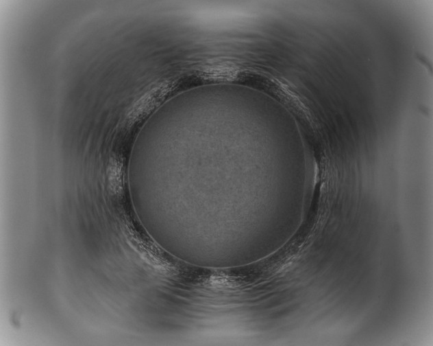 X0000101110641200806261413