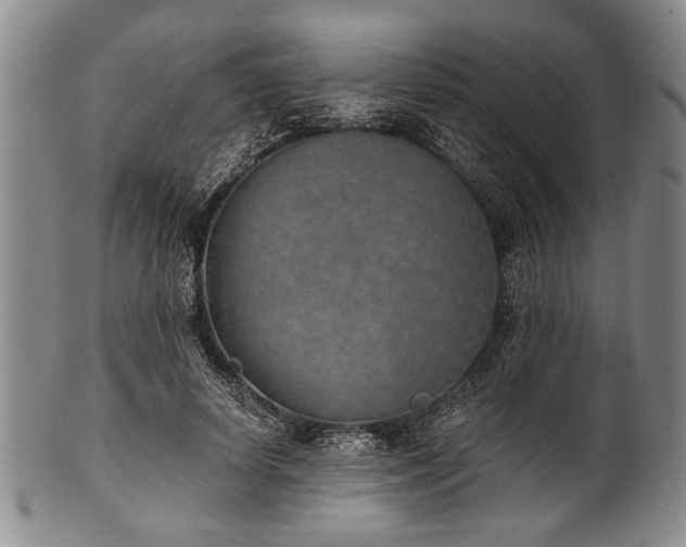 X0000101110642200806261413