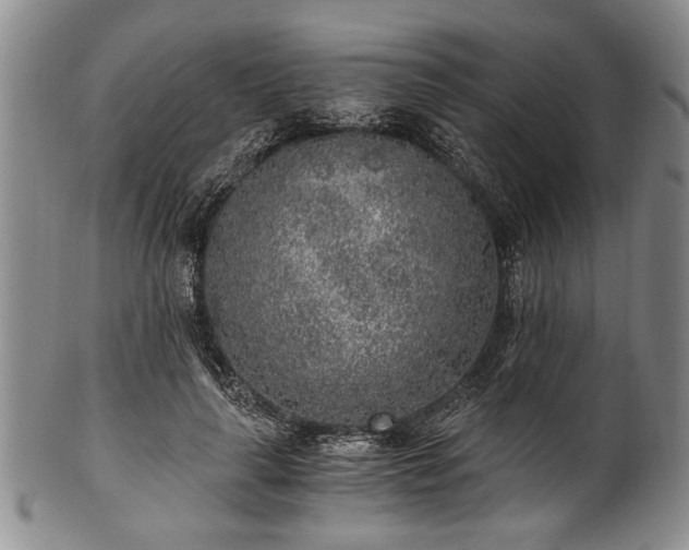 X0000101110643200806261413