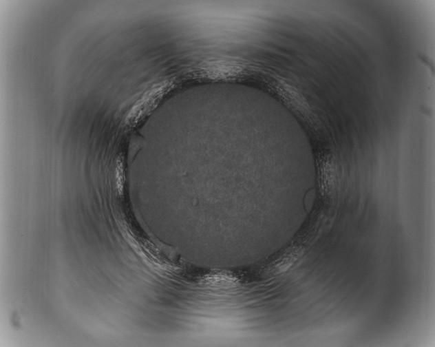 X0000101110644200806261413