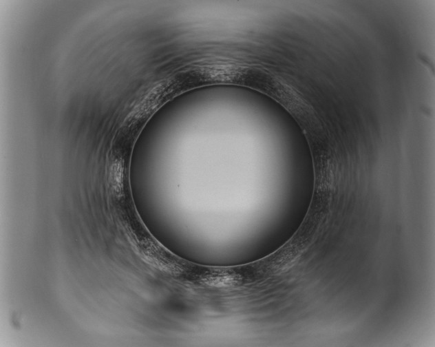 X0000101110646200806261413