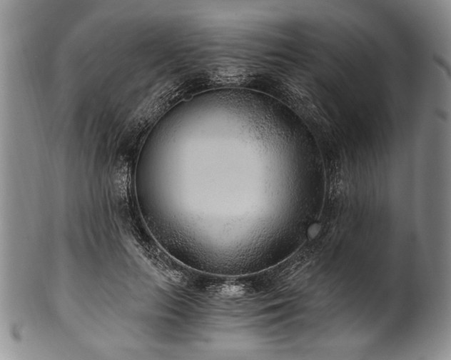 X0000101110647200806261413