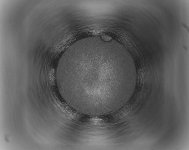 X0000101110650200806261414