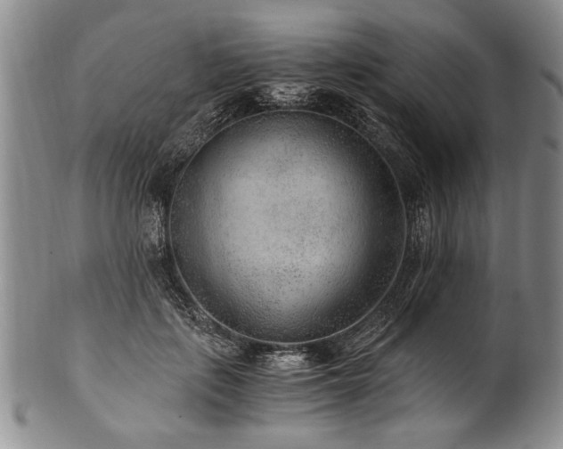 X0000101110651200806261414