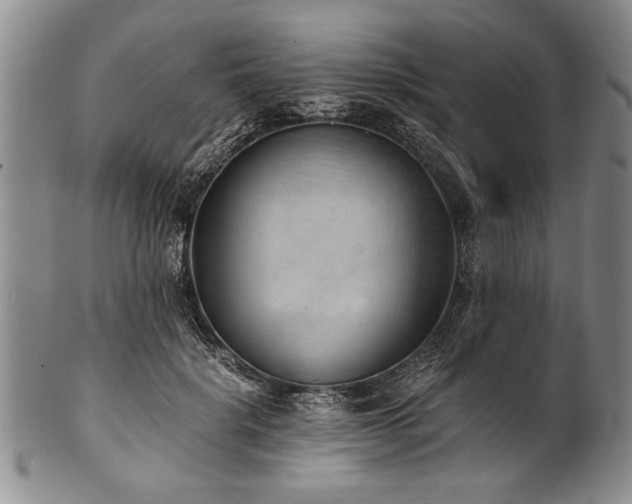 X0000101110652200806261414