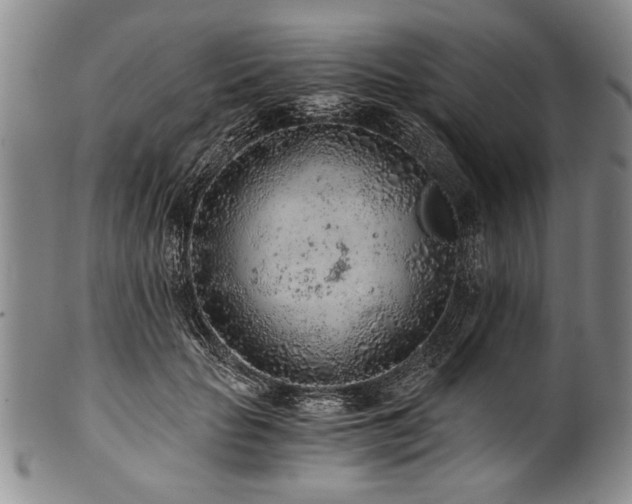 X0000101110653200806261414