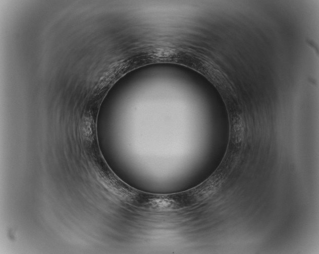 X0000101110654200806261414
