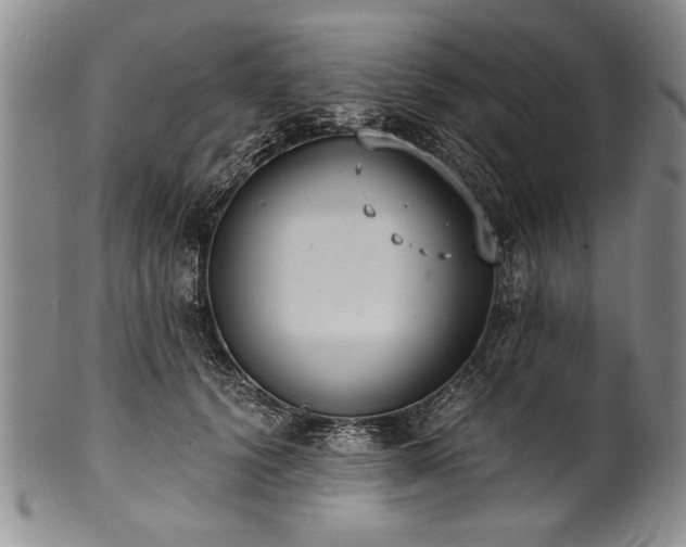 X0000101110656200806261414