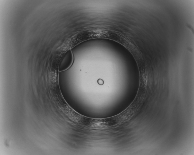 X0000101110657200806261414