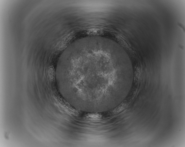 X0000101110659200806261414