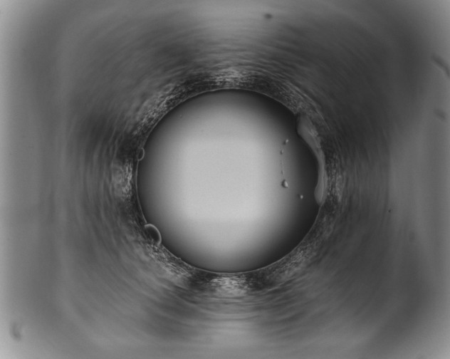 X0000101110660200806261414