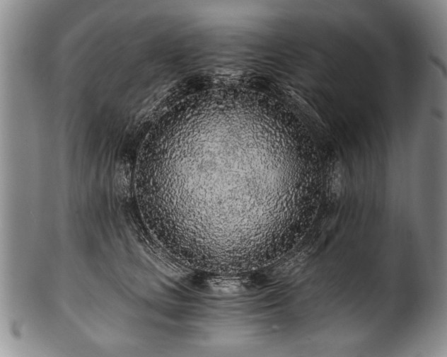 X0000101110661200806261414