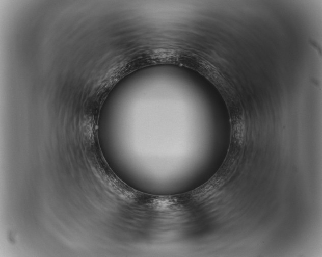 X0000101110662200806261414