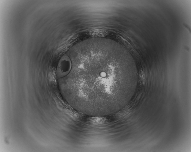 X0000101110663200806261414