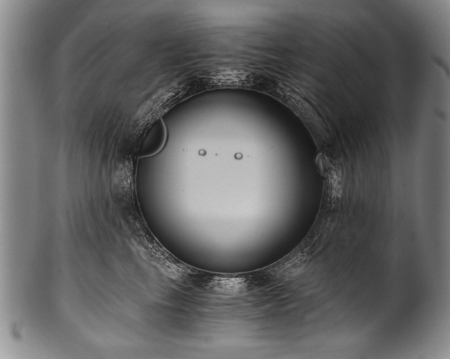 X0000101110665200806261414