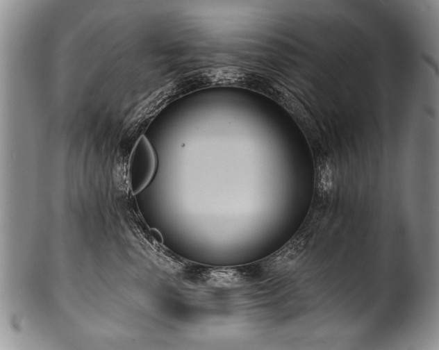 X0000101110666200806261414