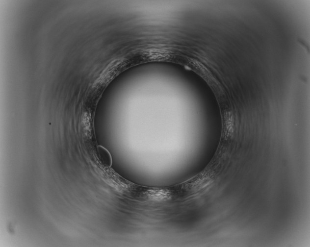 X0000101110667200806261414