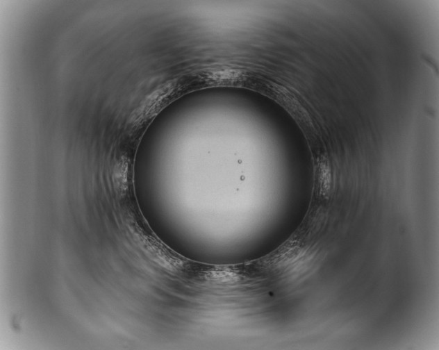 X0000101110668200806261414