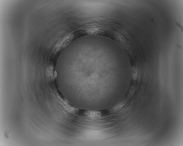 X0000101110670200806261414