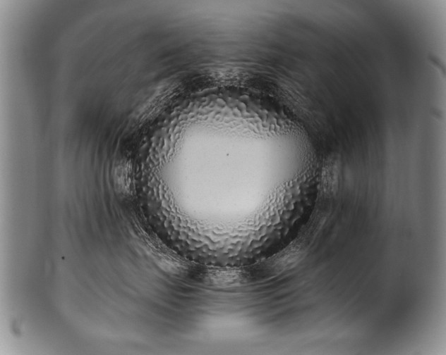 X0000101110671200806261414