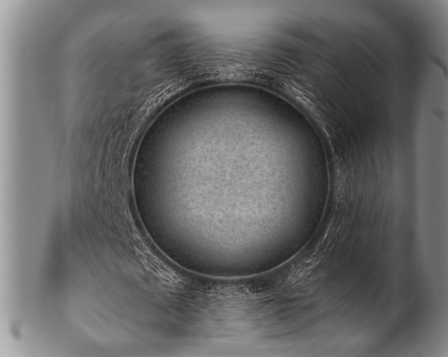 X0000101110673200806261413
