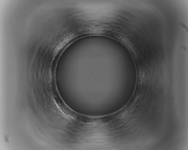 X0000101110674200806261413
