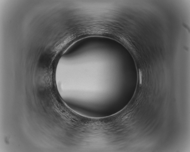 X0000101110675200806261413
