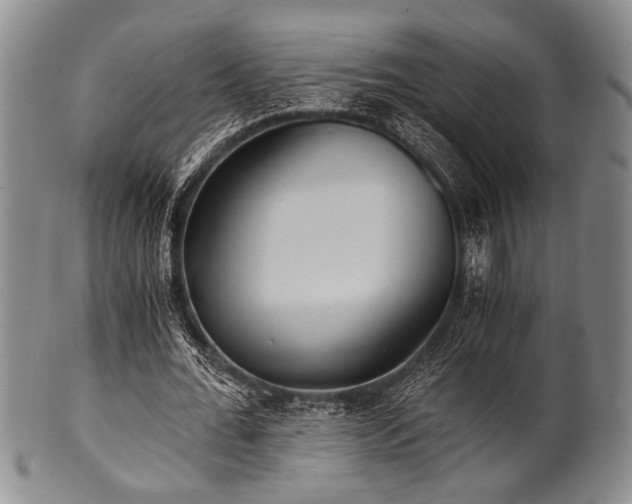 X0000101110676200806261413