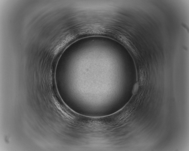X0000101110677200806261413