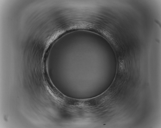 X0000101110678200806261413