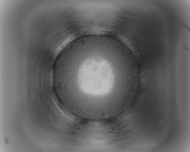 X0000101110679200806261413