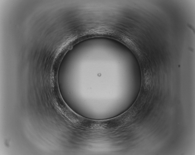 X0000101110680200806261413