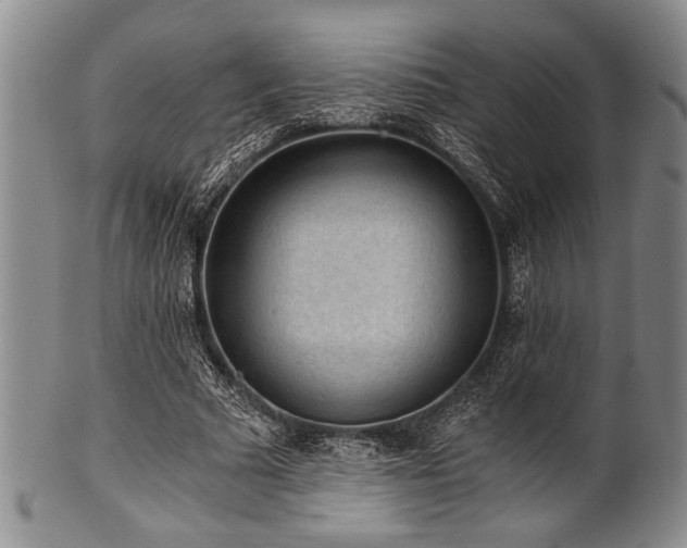 X0000101110681200806261413