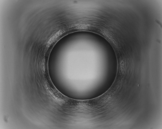 X0000101110682200806261413