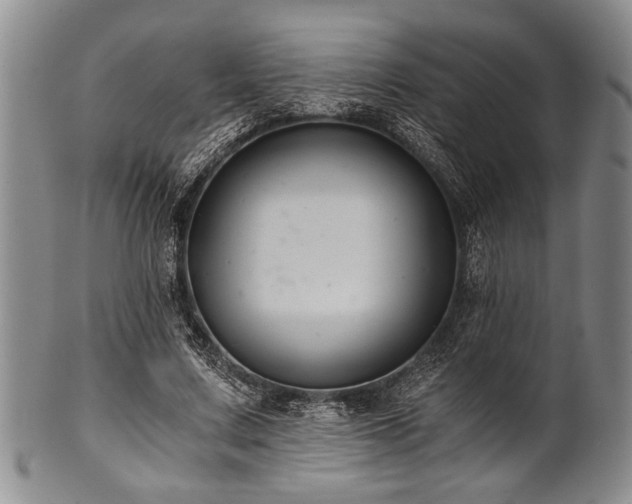 X0000101110683200806261413