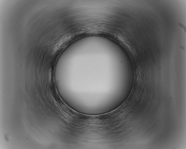 X0000101110685200806261413