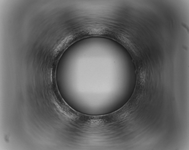 X0000101110686200806261413