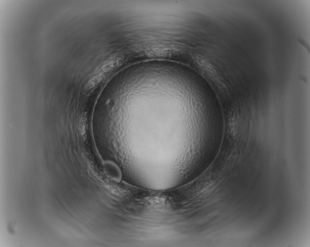 X0000101110687200806261413