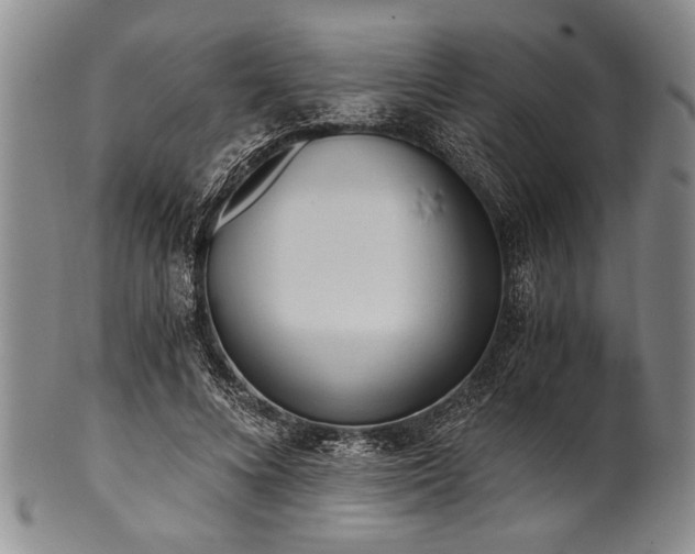 X0000101110688200806261413